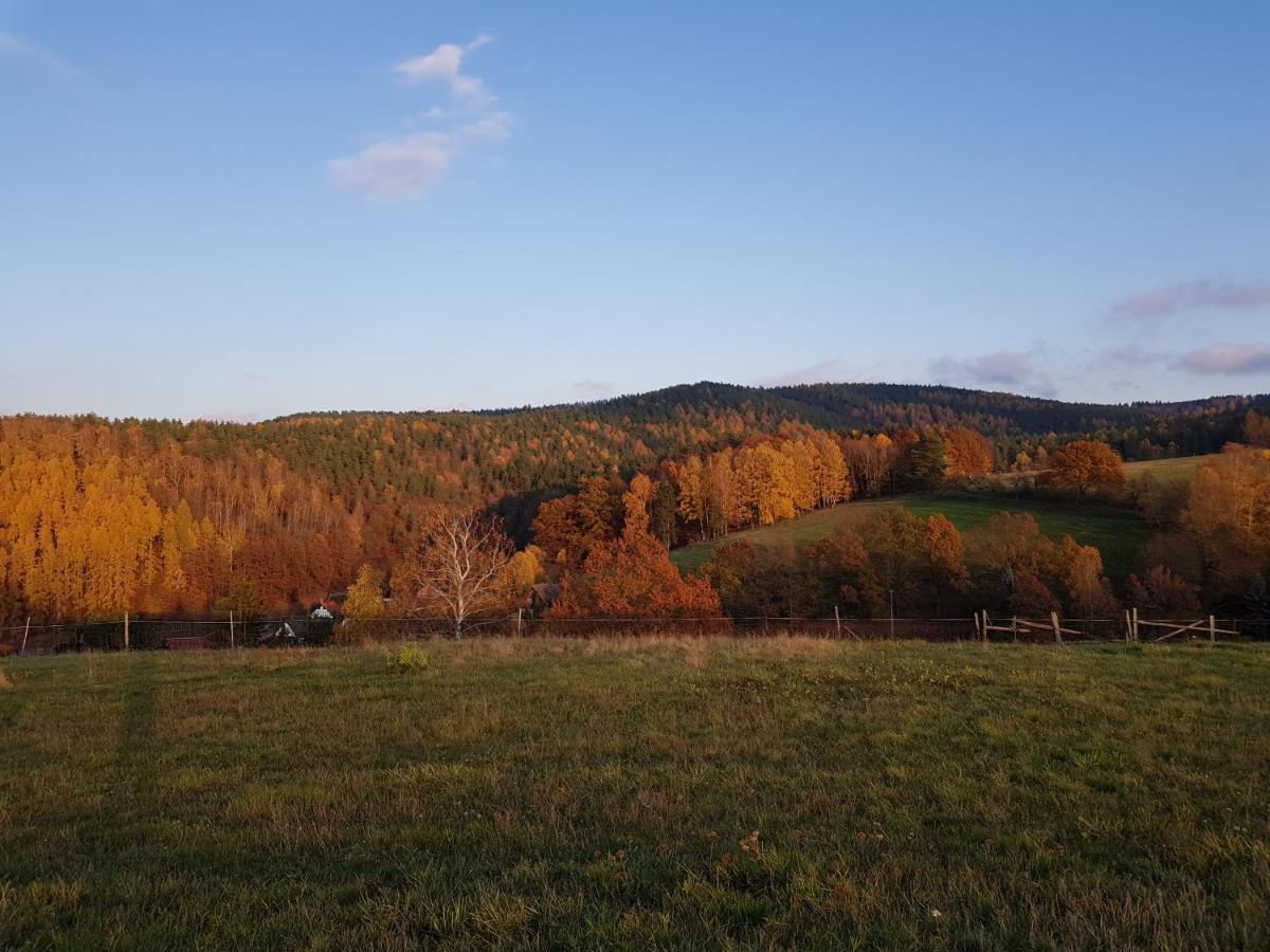 Ferienwohnung Bonndorf Wasungen Экстерьер фото